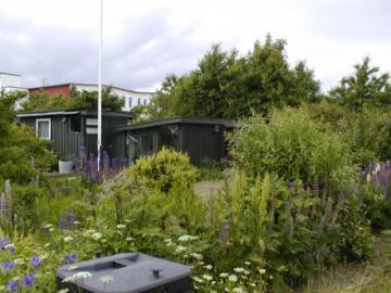 Billeder 2010