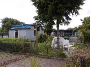 Billeder 2010