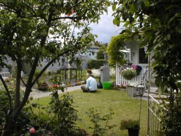 Billeder 2010