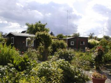 Billeder 2010