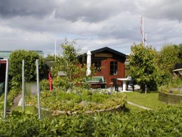 Billeder 2010